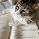 Pet care in Winnipeg - Maria S.