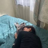 Pet care in Victoria - Fernanda C.