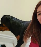 Pet care in Toronto - Mary Joy D.