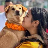 Pet care in Toronto - Chadni T.