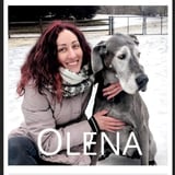 Driver in Toronto - Olena B.