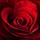 Caregiver in Mississauga - Angela F.