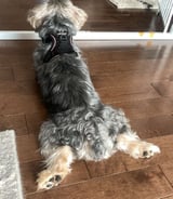 Nanny/Babysitter in Edmonton - Nanny Services