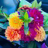 Caregiver in Taber - Compassionate Caregivers Needed – 24-Hour Support for Elderly Woman in Taber, AB.