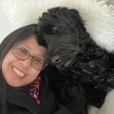 Pet care in Montreal - Lovejoy Calica N.