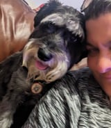 Pet care in Montreal-Est - Sandy D.