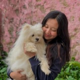 Pet care in Burnaby - Jigme D.