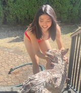 Pet care in Vancouver - Mang-Chen L.
