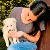 Pet care in Dorval - Harmanjot K.