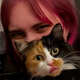 Pet care in Ottawa - Bailey P.