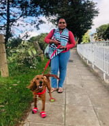 Pet care in Toronto - Amanda F.