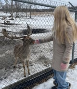 Nanny/Babysitter in Burlington - Caeley S.