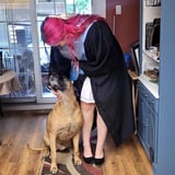 Pet care in Sudbury - Abby R.