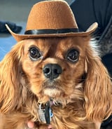 Caregiver in Calgary - Robin J.
