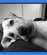 Nanny/Babysitter in Calgary - Lysa H.