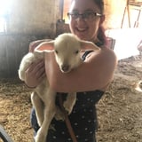 Nanny/Babysitter in Waterloo - Katie R.