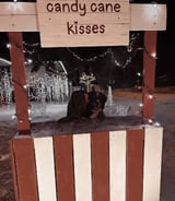Pet care in Spruce Grove - Aleeah W.
