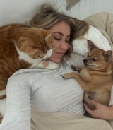 Pet care in Surrey - Reily M.