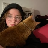 Pet care in Sudbury - Addy G.