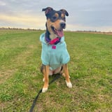 Pet care in Ottawa - Shyanna M.