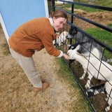 Nanny/Babysitter in Orangeville - Monica O.