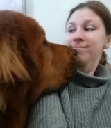 Pet care in Kirkland - Aine S.