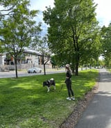 Pet care in Ottawa - Alsu A.