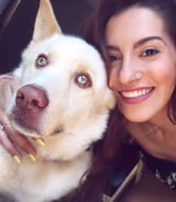 Pet care in Toronto - Lindsay H.