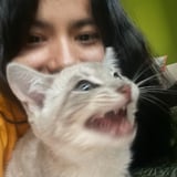 Pet care in Brampton - Manju G.