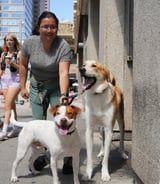 Housekeeper in Calgary - Housekeeper + Dog Care Assistant (Part-Time, 5 Days/Week)