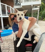 Pet care in Mississauga - Catherine L.