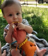 Nanny/Babysitter in Calgary - Nanny for 9 mo. old w/ light housekeeping, food prep, pet care. Flexible in summer & fall, then FT