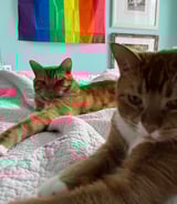 Nanny/Babysitter in Guelph - Rowan H.