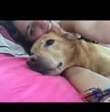 Pet care in Montreal - Gabriela M.