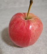 Cook in Calgary - Home cook