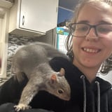 Pet care in Tillsonburg - Megan L.