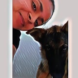 Pet care in Brampton - Tanisha S.