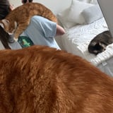 Caregiver in New Westminster - Jennifer M.