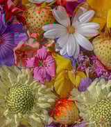 Nanny/Babysitter in Ottawa - Babysitter for my special needs son