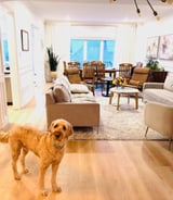 Housekeeper in Oakville - Housekeeper in Bronte Park, Oakville
