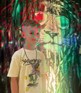 Nanny/Babysitter in Ottawa - Looking for a babysitter for my 7 y/o son.