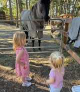 Nanny/Babysitter in Victoria - Part-Time After-School Nanny Needed for Two Sweet Girls (Ages 3 & 5)