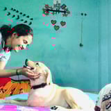 Pet care in Hamilton - Narmada N.