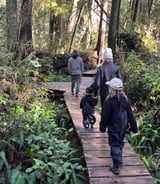 Nanny/Babysitter in Vancouver - After School Nanny - plus household assistant
