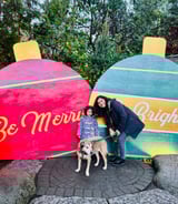 Housekeeper in Vancouver - Housekeeper