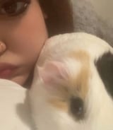Pet care in Edmonton - Luna C.
