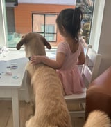 Nanny/Babysitter in Port Moody - Private Nanny