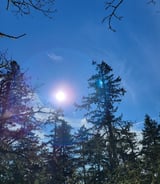 Nanny/Babysitter in North Saanich - Full-time/ part-time House Cleaning team Member