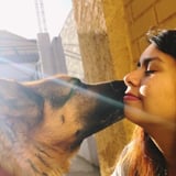 Pet care in Toronto - Bernarda F.