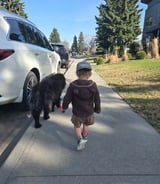 Nanny/Babysitter in Edmonton - Occasionally Babysitter Needed - part-time babysitting job